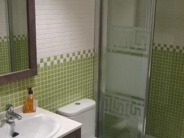 Cuarto de baño con ducha y alicatado verde